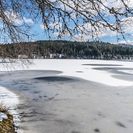 Ferienwohnung Am Schwellenweiher Feldberg  Eksteriør billede