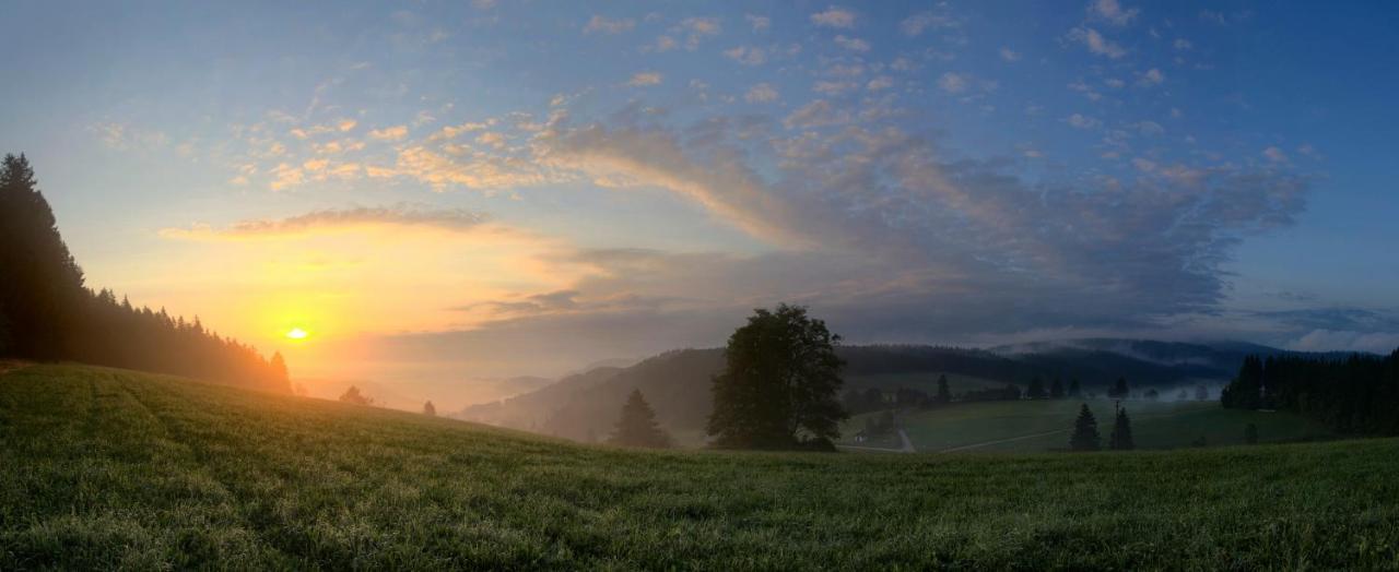 Ferienwohnung Am Schwellenweiher Feldberg  Eksteriør billede