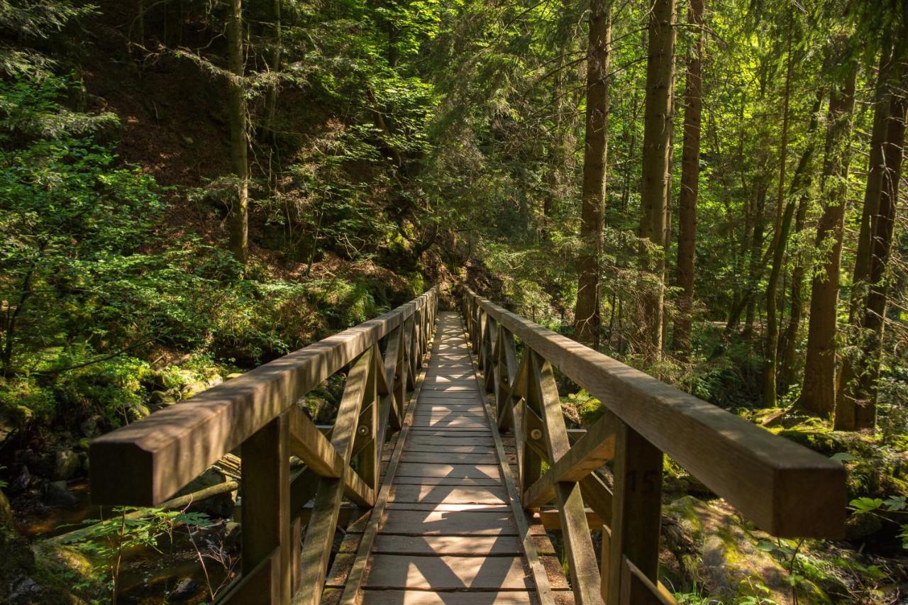 Ferienwohnung Am Schwellenweiher Feldberg  Eksteriør billede