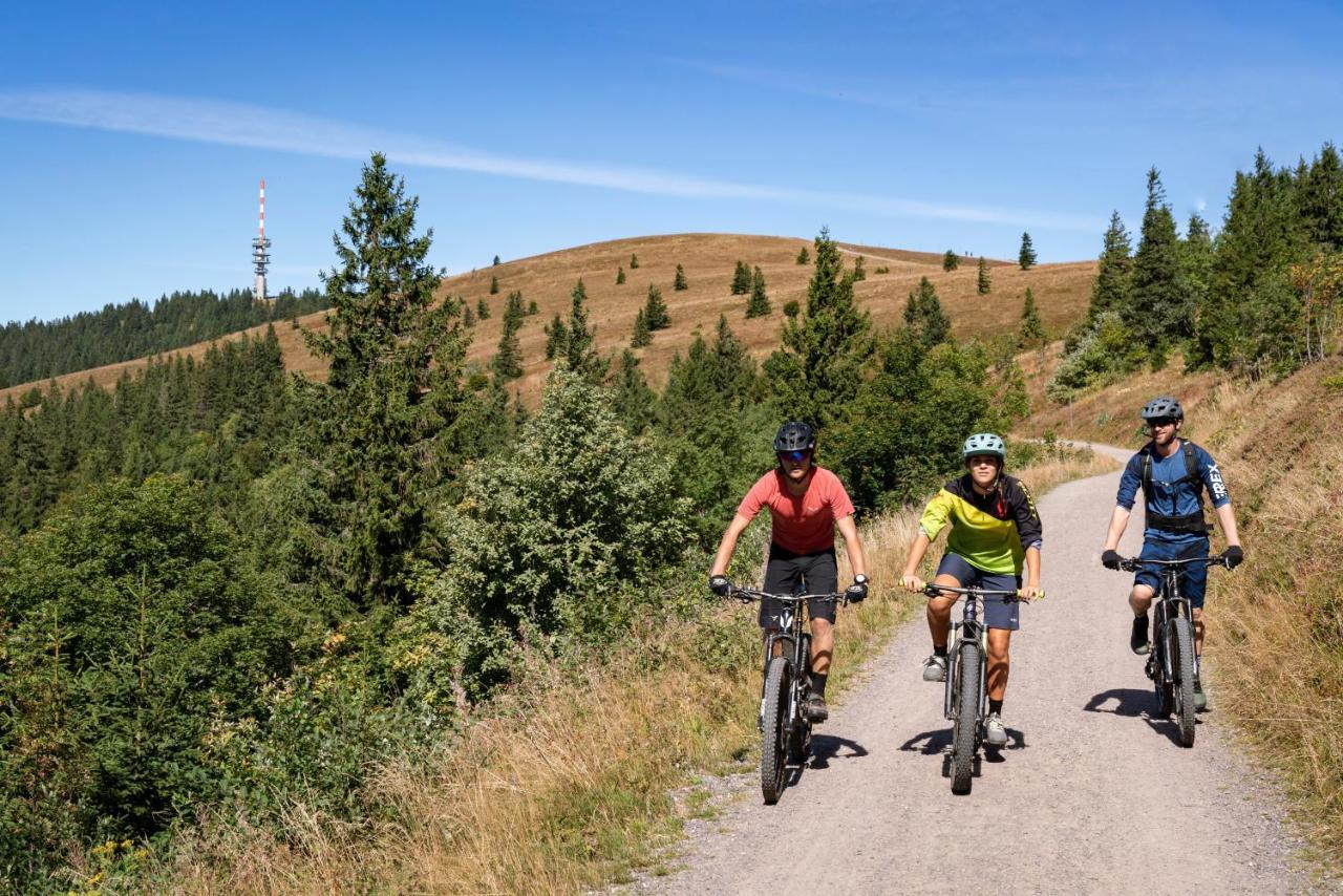 Ferienwohnung Am Schwellenweiher Feldberg  Eksteriør billede