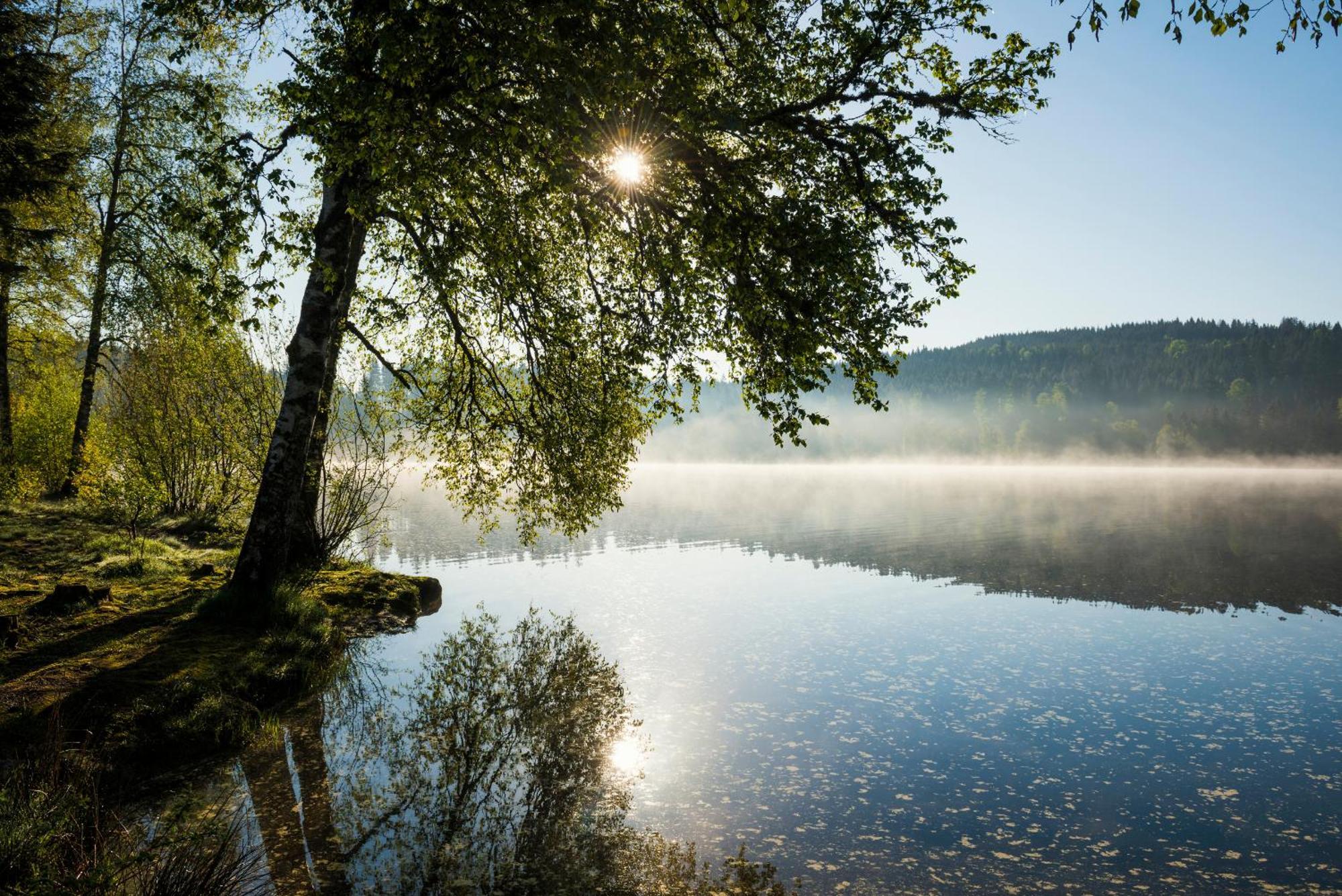 Ferienwohnung Am Schwellenweiher Feldberg  Eksteriør billede