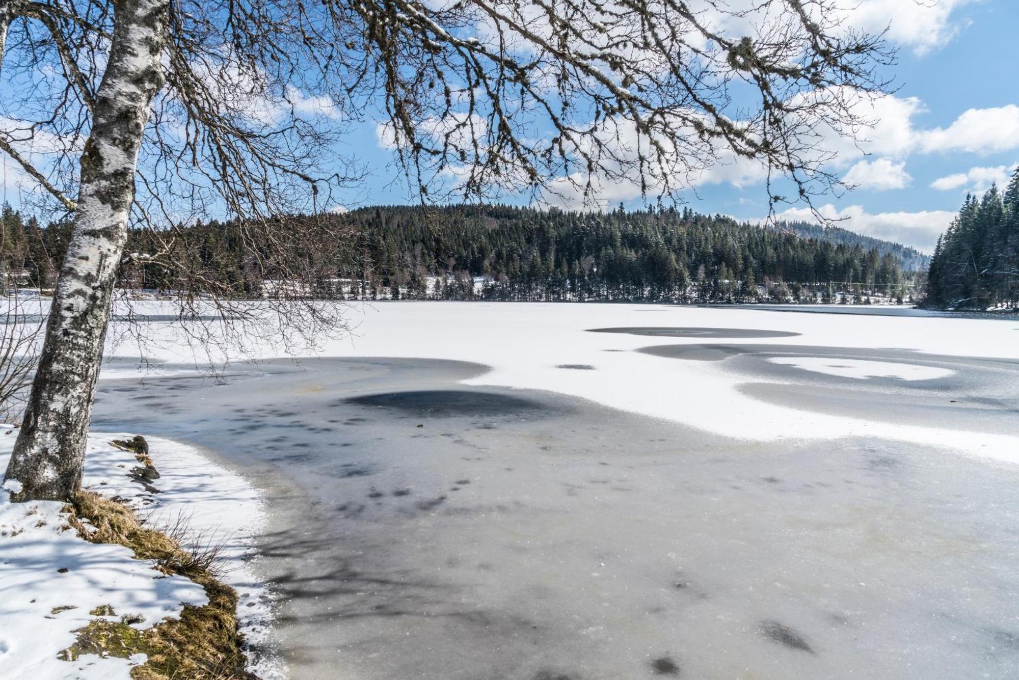 Ferienwohnung Am Schwellenweiher Feldberg  Eksteriør billede
